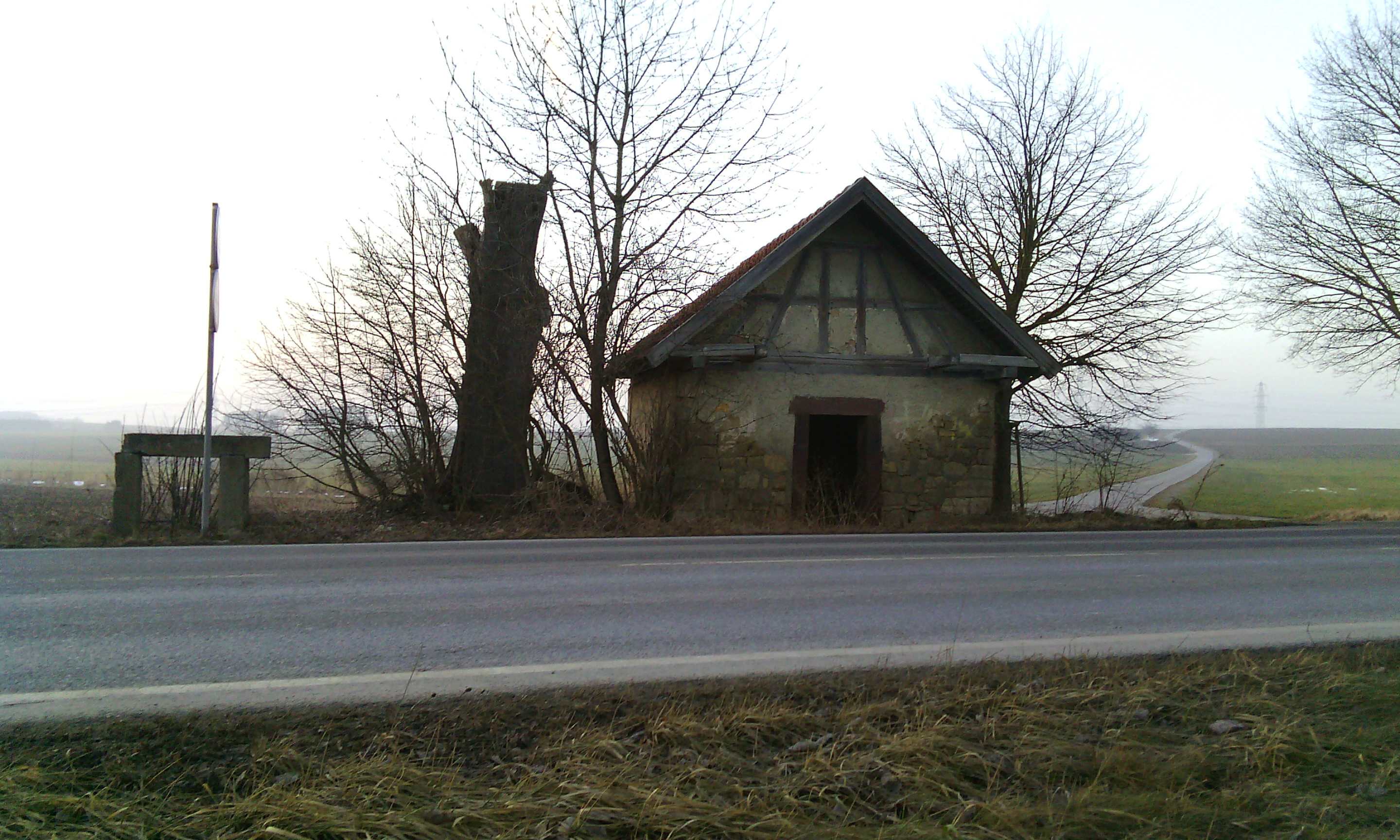 Via Rheni - Verzweig nördlich von Dagersheim am 16.02.201